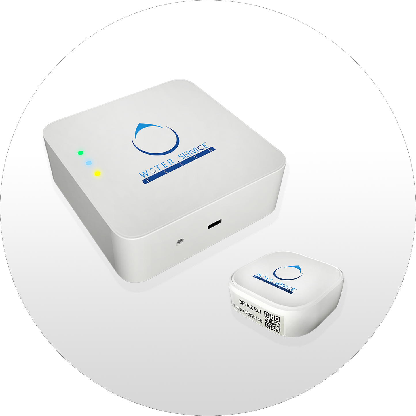 Drinking Water System Leak Detection