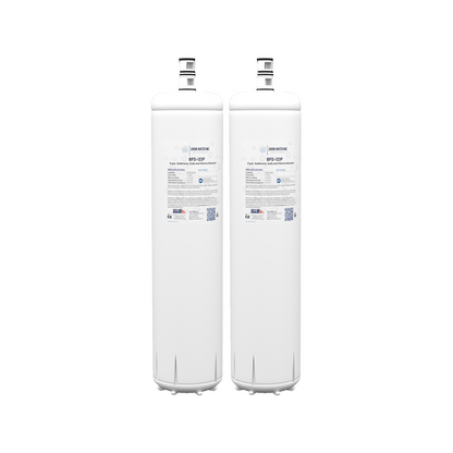 Replacement of BFD- Dual-Cartridge
